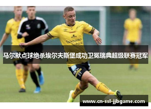 马尔默点球绝杀埃尔夫斯堡成功卫冕瑞典超级联赛冠军 马尔默点球绝杀埃尔夫斯堡成功卫冕瑞典超级联赛冠军